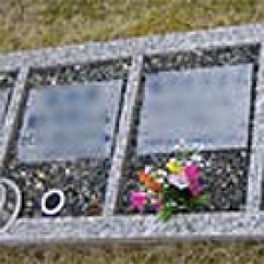 エコノミータイプ